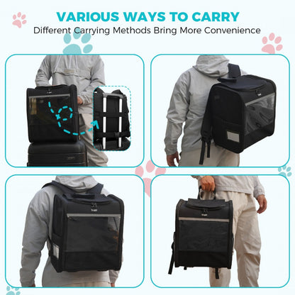 Dogat Foldable And Durable Pet Backpack Carrier Travel Bag for Cats and Small